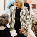 IMG_0342