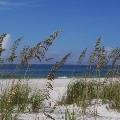 Orange Beach