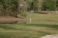 Park Photo Pond Park Photo Pond