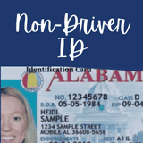view info on obtaining a non driver/state id