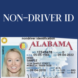 view info on obtaining a non driver/state id