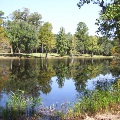 Live Oak Pond