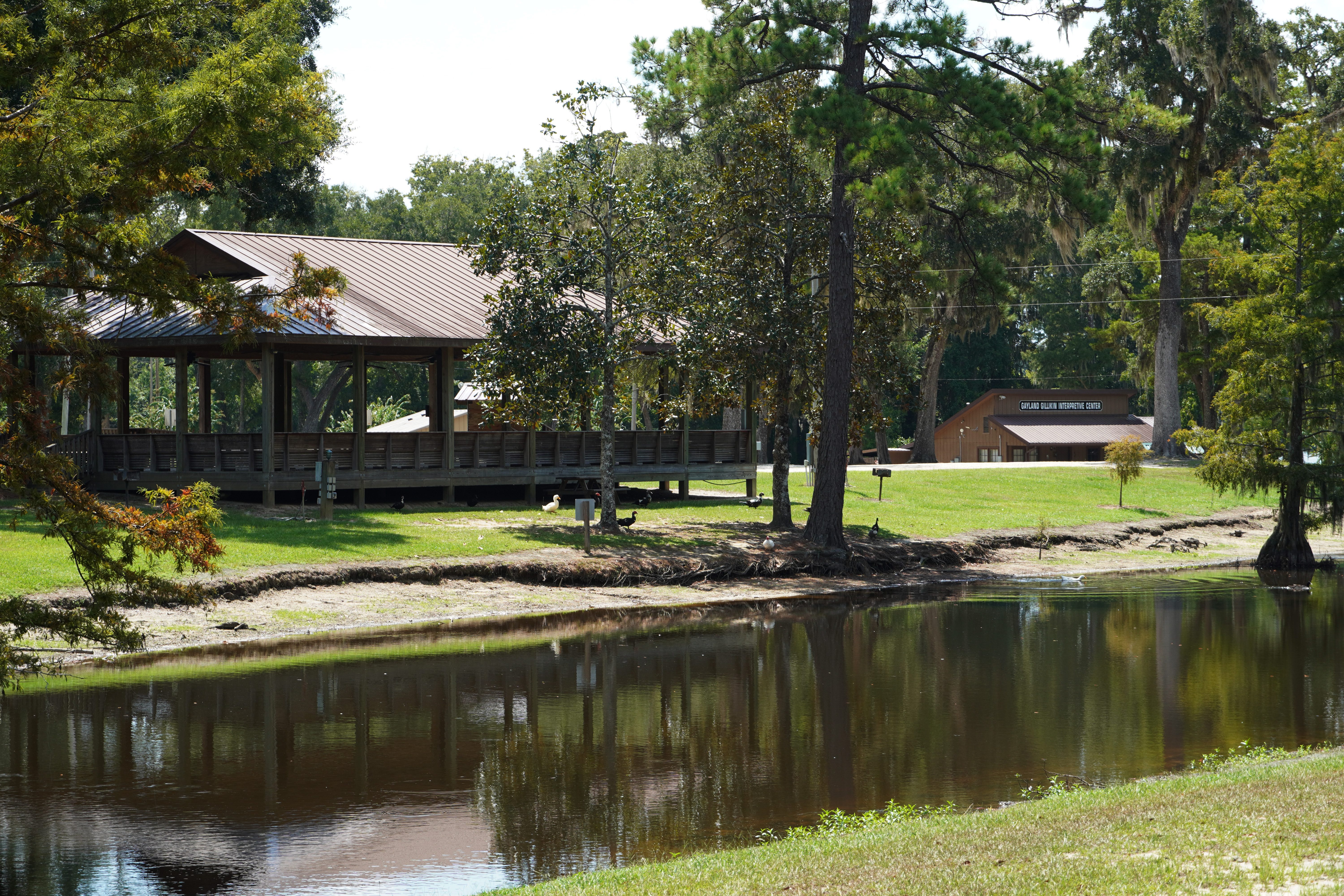 live oak landing pavilion and pond pond and pavilion at live oak landing