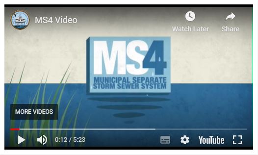 screenshot of ms4 video