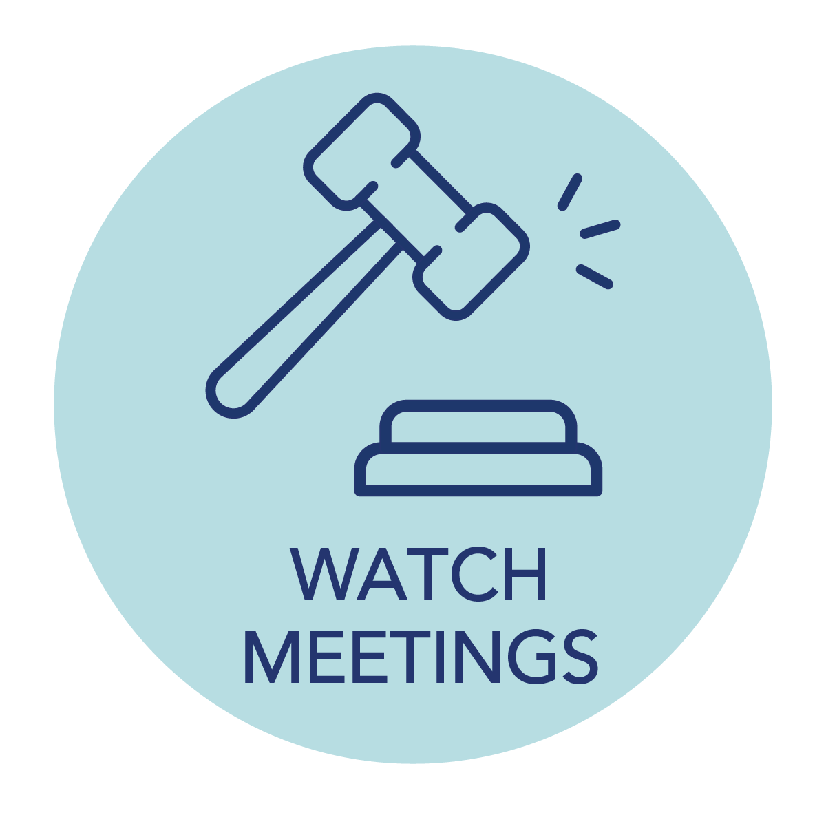Watch Meetings